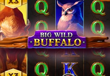 Игра Big Wild Buffalo в казино Beef